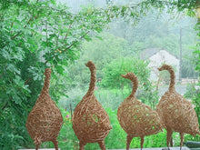 Le jars