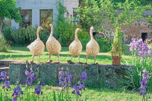 Le jars